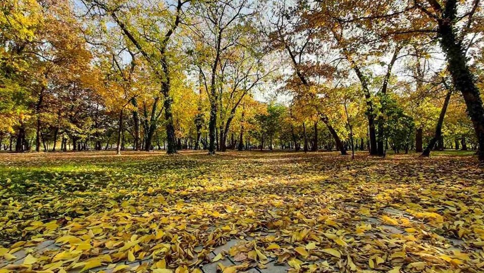 park_u_jesen_zitiste